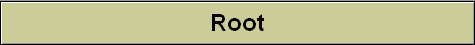 Root